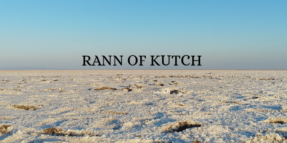 Rann of Kutch, Dholavira & Mandvi – Desert & Heritage Escape (3D/2N)